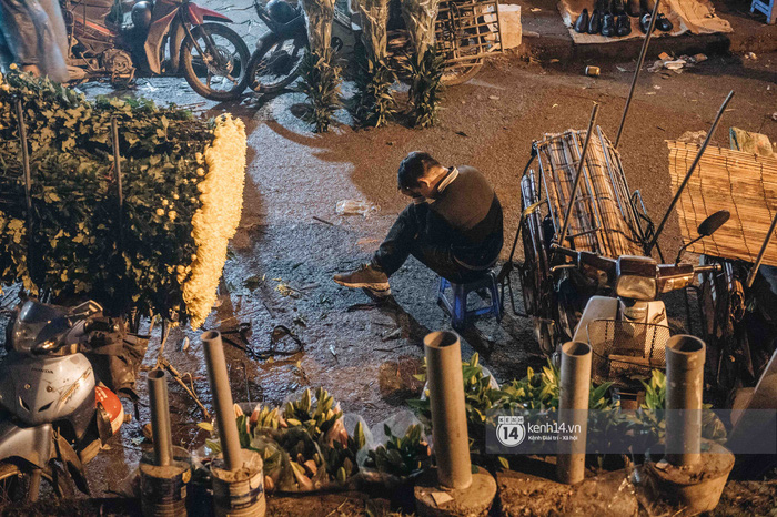Những người nông dân chong lều canh đào, quất giữa cái lạnh 14 độ C của Hà Nội: 'Như đánh một canh bạc, bại nhiều hơn thắng' Những người nông dân chong lều canh đào, quất giữa cái lạnh 14 độ C của Hà Nội: 'Như đánh một canh bạc, bại nhiều hơn thắng'