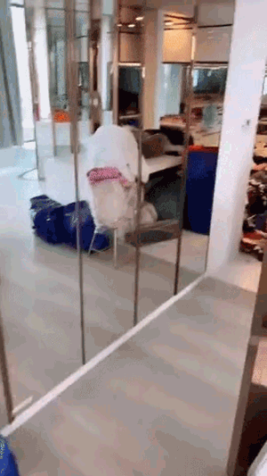 Dọn nhà đón Tết mệt cỡ nào cũng chưa bằng nhìn gia tài đồ hiệu bày la liệt như bán buôn của Ngọc Trinh - 4 Dọn nhà đón Tết mệt cỡ nào cũng chưa bằng nhìn gia tài đồ hiệu bày la liệt như bán buôn của Ngọc Trinh - 4