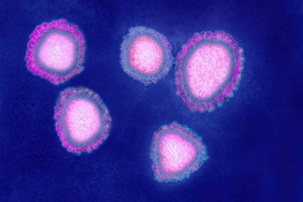 Đây là 8 điều quan trọng bạn cần biết về virus Vũ Hán: Nó lây nhiễm thế nào, phòng chống ra sao? - 1 Đây là 8 điều quan trọng bạn cần biết về virus Vũ Hán: Nó lây nhiễm thế nào, phòng chống ra sao? - 1