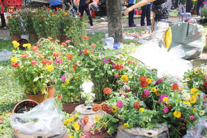 Đại hạ giá vẫn không hết, tiểu thương Sài Gòn thẳng tay đập chậu, chặt gốc hoa chứ quyết không để người dân 'hôi hoa' trưa 30 Tết - 11 Đại hạ giá vẫn không hết, tiểu thương Sài Gòn thẳng tay đập chậu, chặt gốc hoa chứ quyết không để người dân 'hôi hoa' trưa 30 Tết - 11
