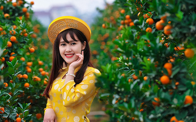 Dự báo mới nhất về thời tiết Tết Nguyên đán Canh Tý 2020 Dự báo mới nhất về thời tiết Tết Nguyên đán Canh Tý 2020