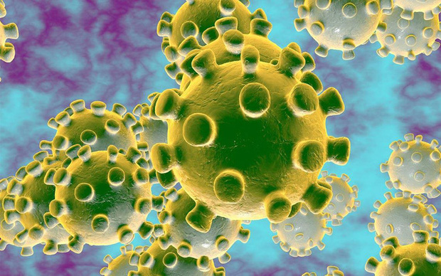 25 người tử vong và 8 thành phố bị phong tỏa vì virus Vũ Hán - nó đã lây lan nhanh như thế nào? - 1 25 người tử vong và 8 thành phố bị phong tỏa vì virus Vũ Hán - nó đã lây lan nhanh như thế nào? - 1