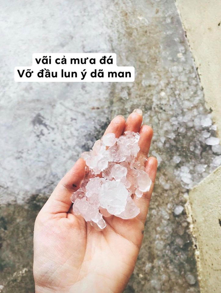 Chúc Tết style Canh Tý 2020: Ngày đầu năm mưa gió bão bùng, dân tình lội nước du xuân - 21 Chúc Tết style Canh Tý 2020: Ngày đầu năm mưa gió bão bùng, dân tình lội nước du xuân - 21