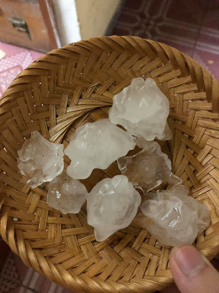 Chúc Tết style Canh Tý 2020: Ngày đầu năm mưa gió bão bùng, dân tình lội nước du xuân - 22 Chúc Tết style Canh Tý 2020: Ngày đầu năm mưa gió bão bùng, dân tình lội nước du xuân - 22