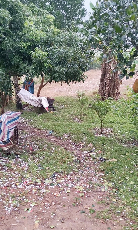 Chúc Tết style Canh Tý 2020: Ngày đầu năm mưa gió bão bùng, dân tình lội nước du xuân - 14 Chúc Tết style Canh Tý 2020: Ngày đầu năm mưa gió bão bùng, dân tình lội nước du xuân - 14