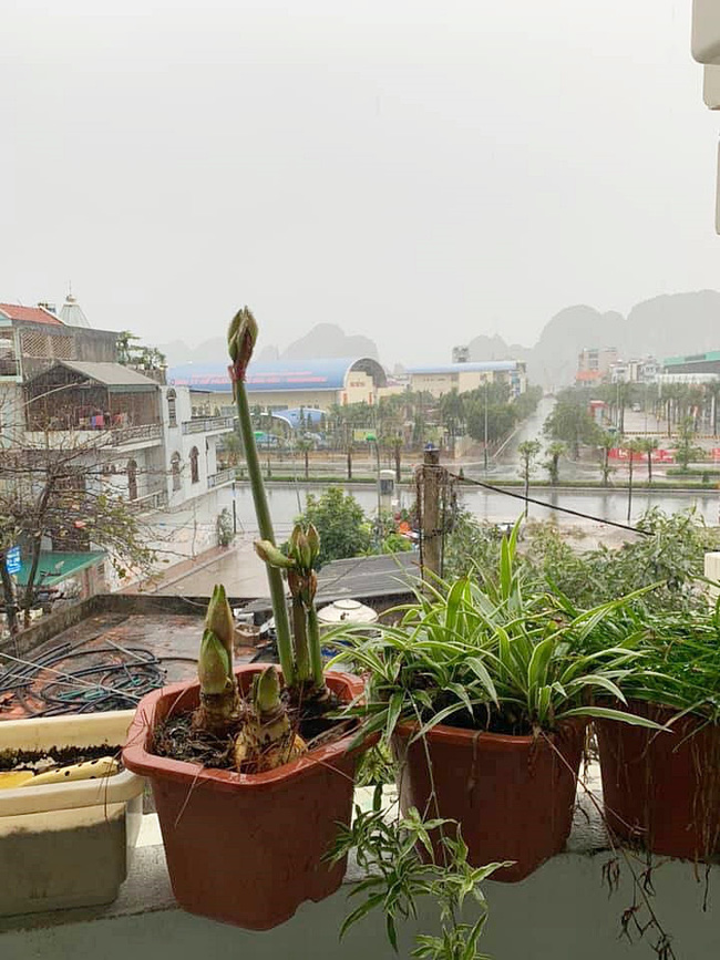 Chúc Tết style Canh Tý 2020: Ngày đầu năm mưa gió bão bùng, dân tình lội nước du xuân - 25 Chúc Tết style Canh Tý 2020: Ngày đầu năm mưa gió bão bùng, dân tình lội nước du xuân - 25