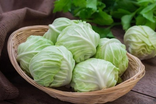 Loại thực phẩm bán đầy ngoài chợ này chính là 'tiên dược' chống ung thư vú rất tốt cho phụ nữ Loại thực phẩm bán đầy ngoài chợ này chính là 'tiên dược' chống ung thư vú rất tốt cho phụ nữ