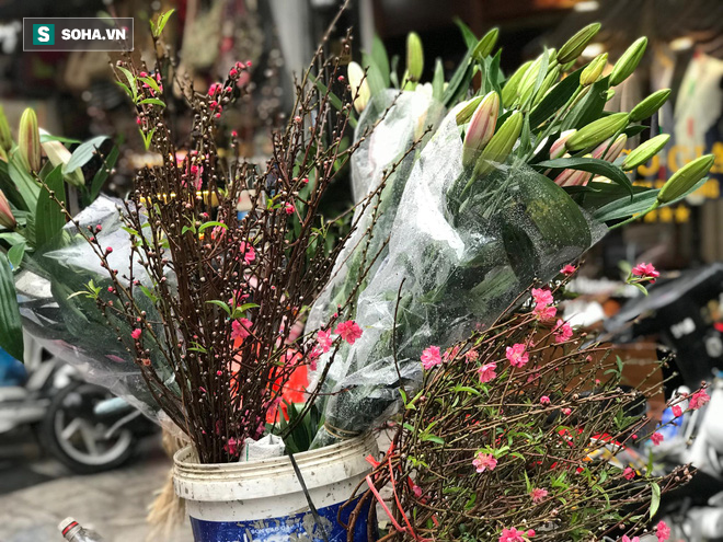 'Mót' đào thừa sau Tết, người dân thu tiền triệu mỗi ngày 'Mót' đào thừa sau Tết, người dân thu tiền triệu mỗi ngày