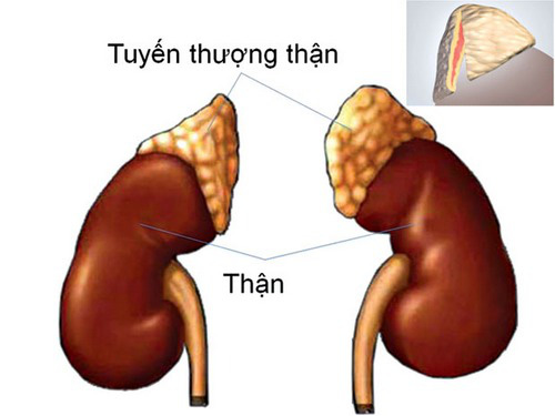 Lười sinh hoạt vợ chồng: Được 1 mất 5 - 1 Lười sinh hoạt vợ chồng: Được 1 mất 5 - 1