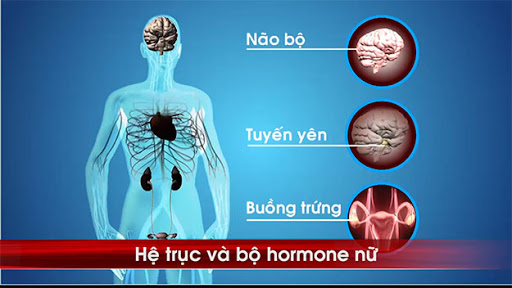 Sextoy: Lợi ít, hại nhiều Sextoy: Lợi ít, hại nhiều