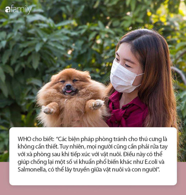 WHO cảnh báo 13 tin đồn sai lệch rất nhiều người vẫn đang nhầm tưởng tin theo trong mùa dịch Covid-19 - 2 WHO cảnh báo 13 tin đồn sai lệch rất nhiều người vẫn đang nhầm tưởng tin theo trong mùa dịch Covid-19 - 2