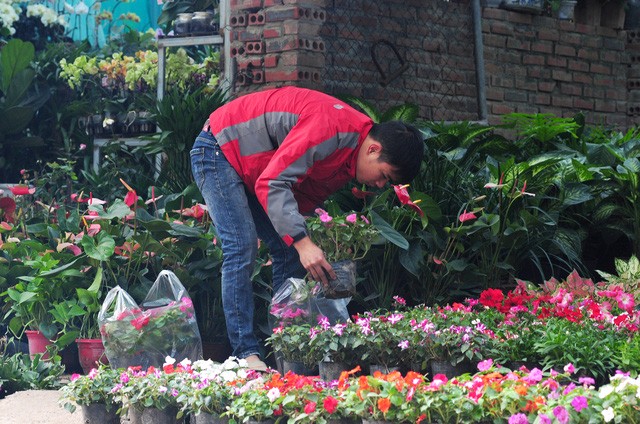 Độc đáo phiên chợ hoa, cây cảnh năm ngày họp một lần tại Hà Nội - 1 Độc đáo phiên chợ hoa, cây cảnh năm ngày họp một lần tại Hà Nội - 1