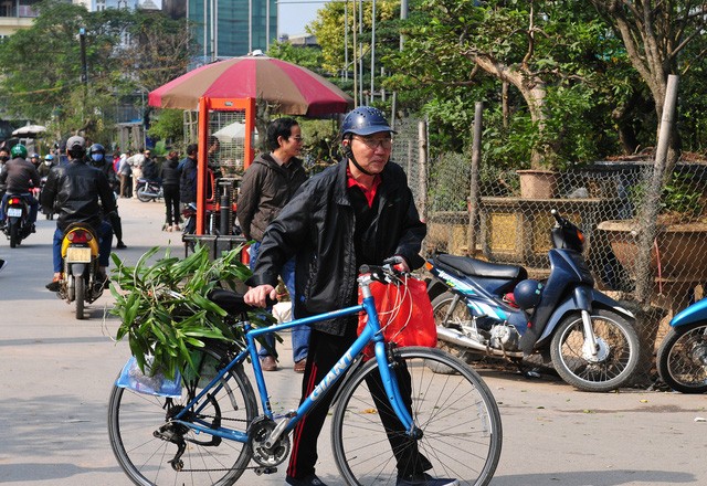 Độc đáo phiên chợ hoa, cây cảnh năm ngày họp một lần tại Hà Nội - 4 Độc đáo phiên chợ hoa, cây cảnh năm ngày họp một lần tại Hà Nội - 4