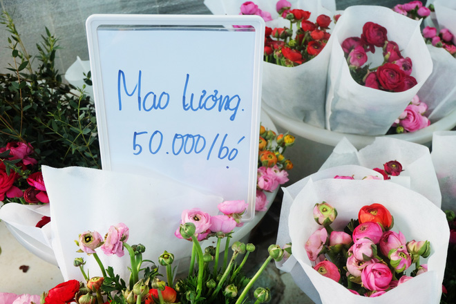 Xếp hàng từ 7h giờ sáng mua hoa hồng Đà Lạt 1.000 đồng/bông - 14 Xếp hàng từ 7h giờ sáng mua hoa hồng Đà Lạt 1.000 đồng/bông - 14