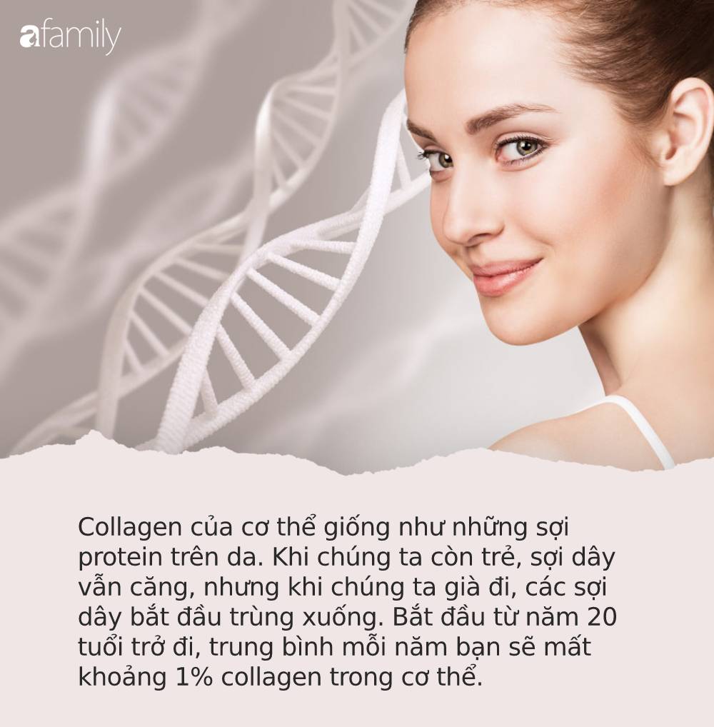 Phụ nữ ăn đều đặn 10 món này có thể kích thích cơ thể tự sản sinh collagen, giúp trẻ lâu, da đẹp và khỏe mạnh mỗi ngày Phụ nữ ăn đều đặn 10 món này có thể kích thích cơ thể tự sản sinh collagen, giúp trẻ lâu, da đẹp và khỏe mạnh mỗi ngày