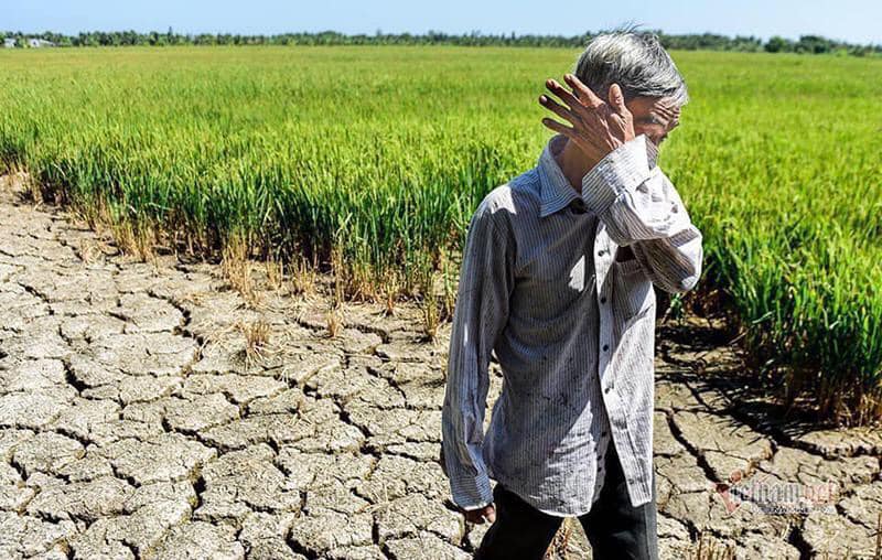 MC Đại Nghĩa, Phi Nhung, Thủy Tiên cùng hàng loạt sao Việt kêu gọi ủng hộ bà con miền Tây trước tình hình hạn mặn kéo dài MC Đại Nghĩa, Phi Nhung, Thủy Tiên cùng hàng loạt sao Việt kêu gọi ủng hộ bà con miền Tây trước tình hình hạn mặn kéo dài