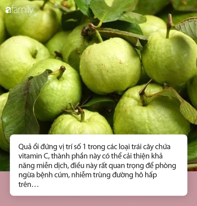 Ổi - siêu thực phẩm bảo vệ sức khỏe đường ruột trong mùa dịch Ổi - siêu thực phẩm bảo vệ sức khỏe đường ruột trong mùa dịch