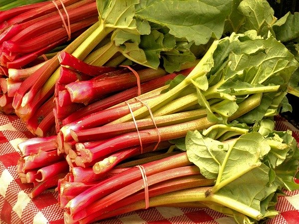 Ăn những thực phẩm này cẩn thận nguy cơ mắc sỏi thận cao: Chuyên gia khuyên ăn thế này mới tránh bị bệnh! - 4 Ăn những thực phẩm này cẩn thận nguy cơ mắc sỏi thận cao: Chuyên gia khuyên ăn thế này mới tránh bị bệnh! - 4