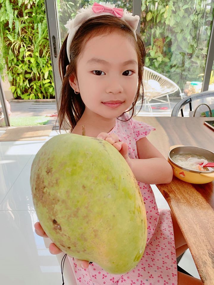 4 nhóc tỳ đồng loạt nghỉ ở nhà tránh dịch, vợ chồng Lý Hải nghĩ ra cách 'giết thời gian' cực kỳ bổ ích cùng các con - 3 4 nhóc tỳ đồng loạt nghỉ ở nhà tránh dịch, vợ chồng Lý Hải nghĩ ra cách 'giết thời gian' cực kỳ bổ ích cùng các con - 3