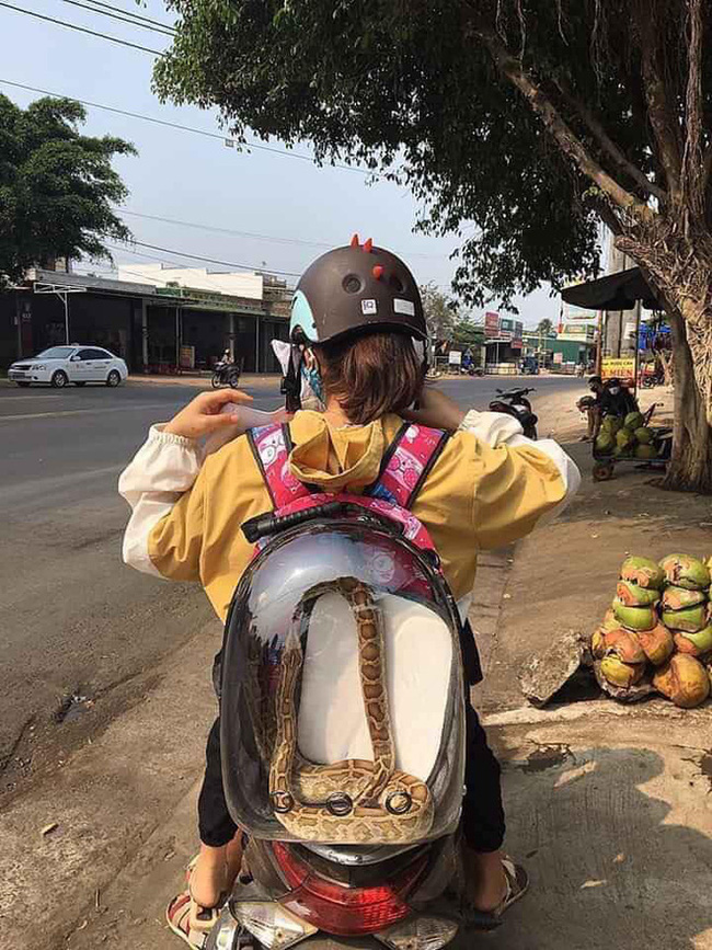 Hồn nhiên đeo balo màu hướng xinh xắn, cô gái khiến nhiều người hết hồn khi bên trong là 'bé Na' đang nằm phơi nắng Hồn nhiên đeo balo màu hướng xinh xắn, cô gái khiến nhiều người hết hồn khi bên trong là 'bé Na' đang nằm phơi nắng