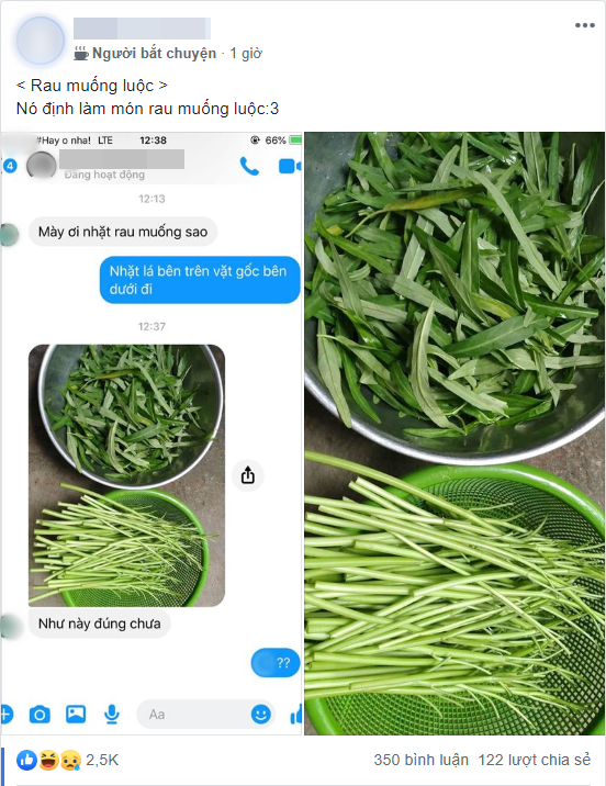 Chỉ cho bạn cách nhặt rau muống nhanh gọn, thanh niên hết hồn khi nghiệm thu thành quả quá sai Chỉ cho bạn cách nhặt rau muống nhanh gọn, thanh niên hết hồn khi nghiệm thu thành quả quá sai