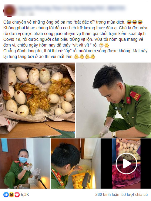 Được dân biếu quá nhiều trứng, cán bộ công an 'dở khóc dở cười' khi bỗng dưng trở thành mẹ bất đắc dĩ của những chú vịt Được dân biếu quá nhiều trứng, cán bộ công an 'dở khóc dở cười' khi bỗng dưng trở thành mẹ bất đắc dĩ của những chú vịt