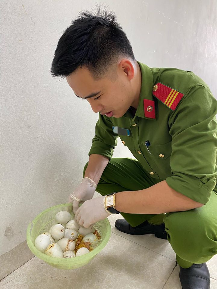 Được dân biếu quá nhiều trứng, cán bộ công an 'dở khóc dở cười' khi bỗng dưng trở thành mẹ bất đắc dĩ của những chú vịt - 3 Được dân biếu quá nhiều trứng, cán bộ công an 'dở khóc dở cười' khi bỗng dưng trở thành mẹ bất đắc dĩ của những chú vịt - 3
