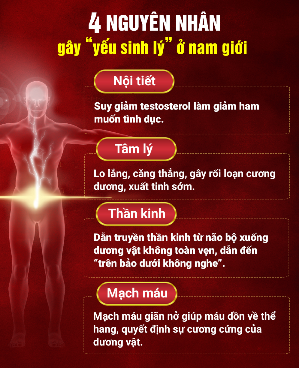 Bổ thận tráng dương – dùng thế nào cho đúng? - 1 Bổ thận tráng dương – dùng thế nào cho đúng? - 1
