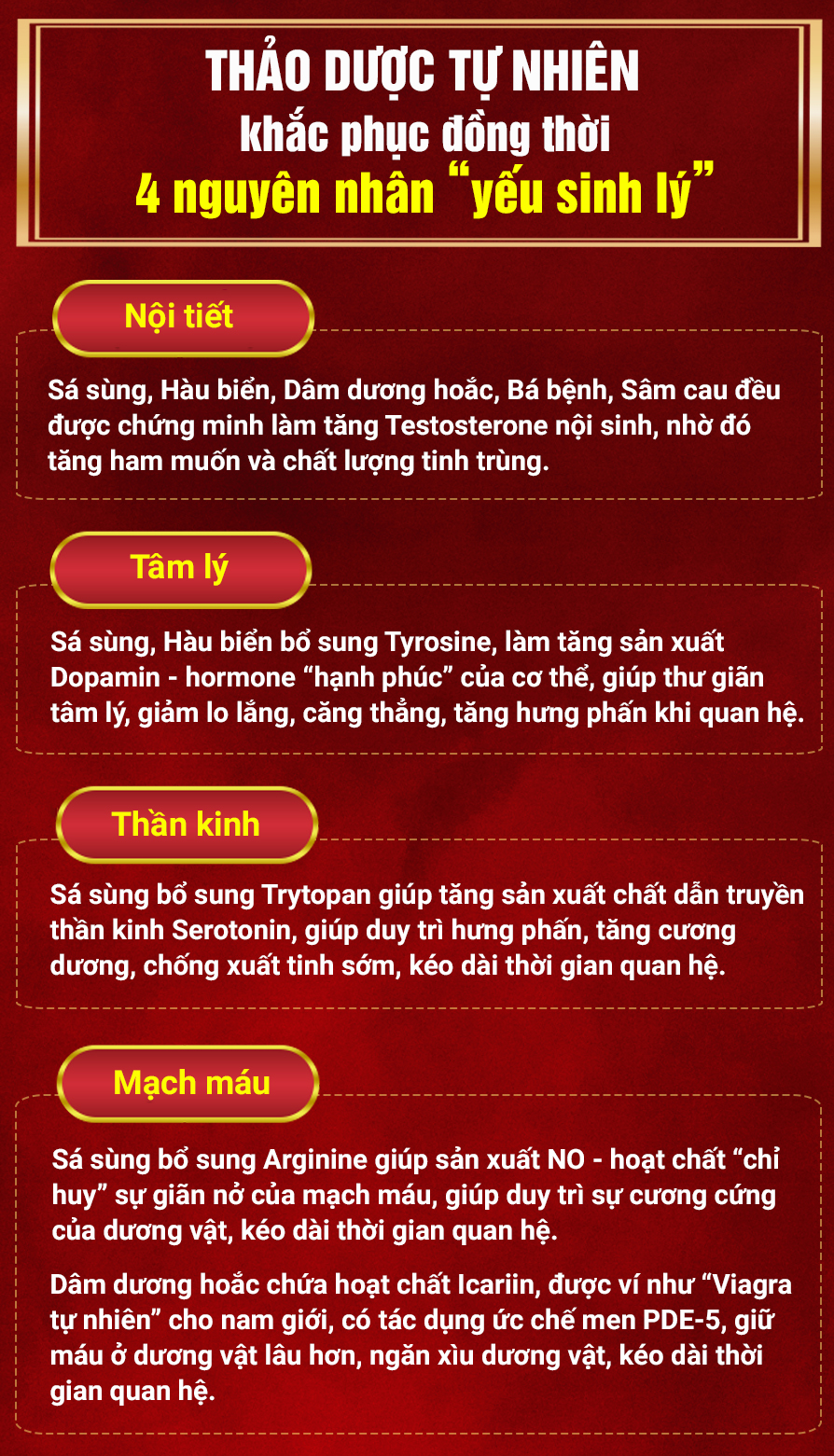 Bổ thận tráng dương – dùng thế nào cho đúng? - 2 Bổ thận tráng dương – dùng thế nào cho đúng? - 2
