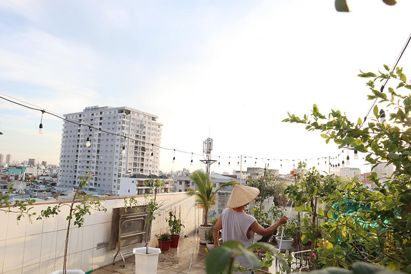 Phan Hiển trồng vườn hồng trăm triệu trên sân thượng cho Khánh Thi - 1 Phan Hiển trồng vườn hồng trăm triệu trên sân thượng cho Khánh Thi - 1
