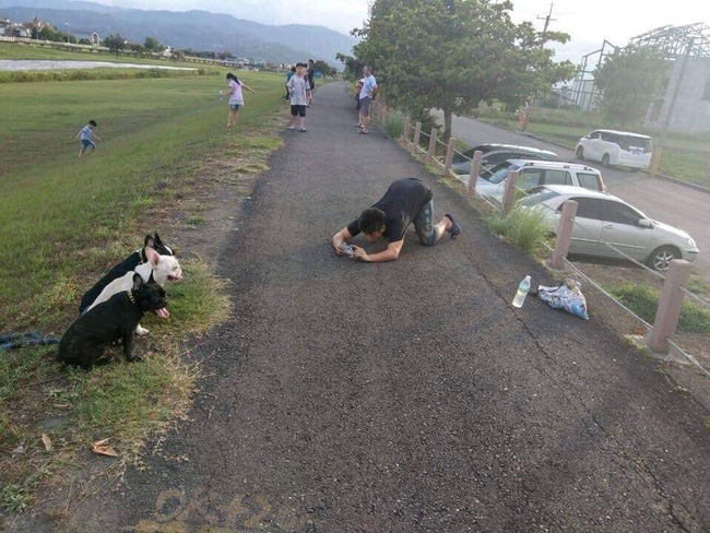 Sen có tâm nhất hệ mặt trời: Sẵn sàng lăn lê bò trườn giữa đường để chụp ảnh cho boss Sen có tâm nhất hệ mặt trời: Sẵn sàng lăn lê bò trườn giữa đường để chụp ảnh cho boss