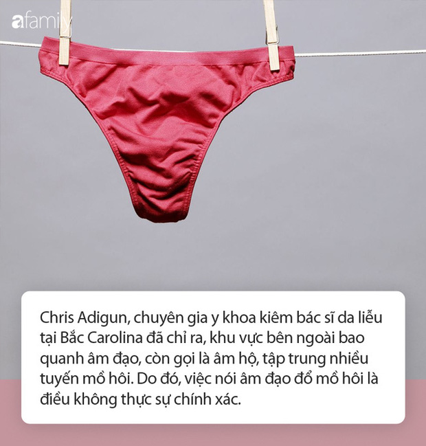 Ra mồ hôi vùng kín liệu có phải là hiện tượng bình thường? Ra mồ hôi vùng kín liệu có phải là hiện tượng bình thường?