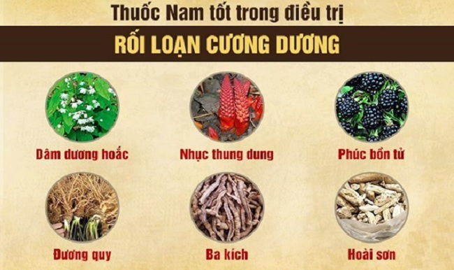 Giải pháp đông y khắc phục yếu sinh lý nam giới hiệu quả, bền vững, an toàn - 3 Giải pháp đông y khắc phục yếu sinh lý nam giới hiệu quả, bền vững, an toàn - 3