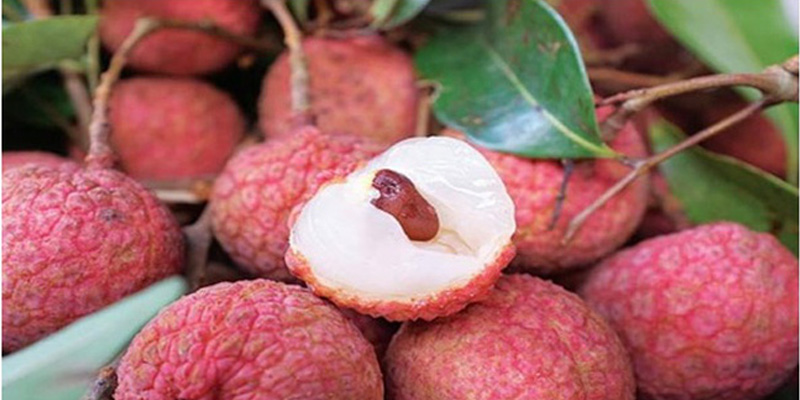 7 loại quả 'ngon đã miệng', có nhiều trong mùa hè nên bổ sung để tăng cường sức đề kháng và phòng ngừa bệnh tật những ngày nắng nóng - 5 7 loại quả 'ngon đã miệng', có nhiều trong mùa hè nên bổ sung để tăng cường sức đề kháng và phòng ngừa bệnh tật những ngày nắng nóng - 5