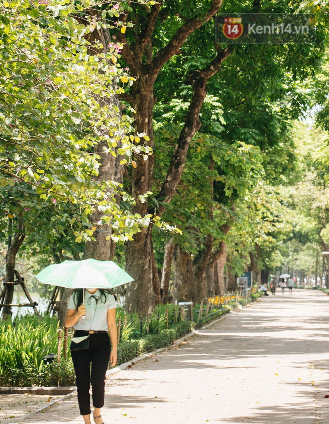 Ảnh: Nhiệt độ ngoài đường tại Hà Nội lên tới 50 độ C, người dân trùm khăn áo kín mít di chuyển trên phố - 5 Ảnh: Nhiệt độ ngoài đường tại Hà Nội lên tới 50 độ C, người dân trùm khăn áo kín mít di chuyển trên phố - 5