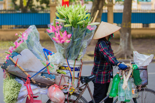 Hoa sen đầu mùa rục rịch lên phố - 2 Hoa sen đầu mùa rục rịch lên phố - 2
