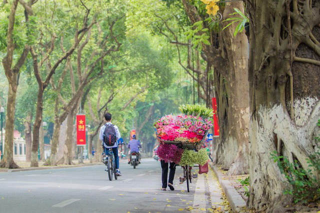 Hoa sen đầu mùa rục rịch lên phố - 3 Hoa sen đầu mùa rục rịch lên phố - 3
