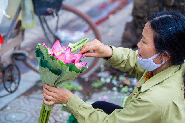 Hoa sen đầu mùa rục rịch lên phố - 7 Hoa sen đầu mùa rục rịch lên phố - 7