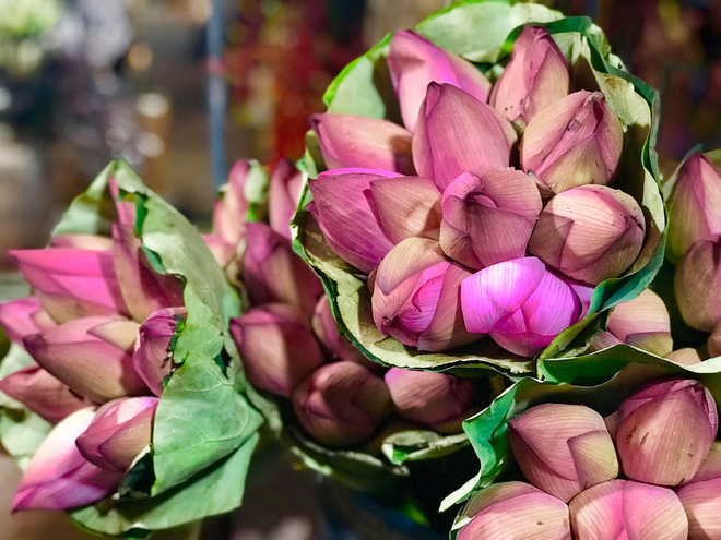 Bỏ tiền thật nhưng mua phải hoa sen giả, khách hàng tự rước cục tức vào mình Bỏ tiền thật nhưng mua phải hoa sen giả, khách hàng tự rước cục tức vào mình