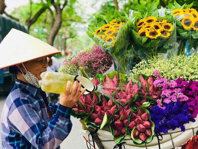 Bỏ tiền thật nhưng mua phải hoa sen giả, khách hàng tự rước cục tức vào mình - 2 Bỏ tiền thật nhưng mua phải hoa sen giả, khách hàng tự rước cục tức vào mình - 2