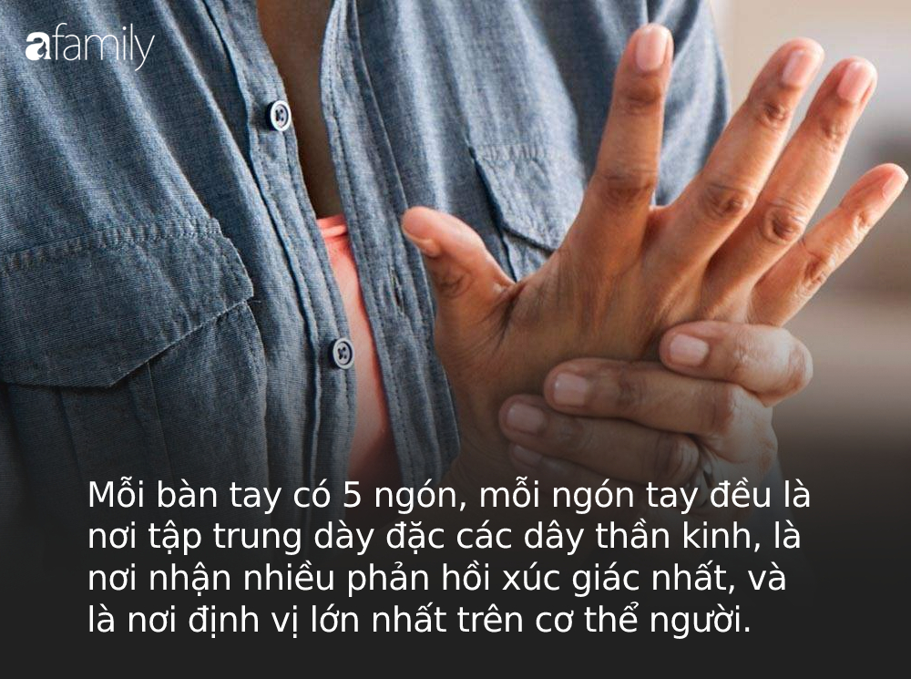 Người sống thọ thường xuất hiện 4 dấu hiệu thú vị này trên bàn tay: Thử kiểm tra ngay xem bạn có đủ hay không! Người sống thọ thường xuất hiện 4 dấu hiệu thú vị này trên bàn tay: Thử kiểm tra ngay xem bạn có đủ hay không!