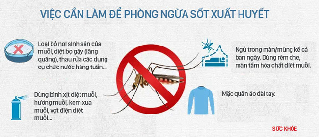 Mùa hè, đề phòng dịch sốt xuất huyết bùng phát, người dân cần làm ngay 4 việc này - 1 Mùa hè, đề phòng dịch sốt xuất huyết bùng phát, người dân cần làm ngay 4 việc này - 1