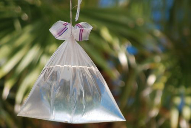 Vì sao túi nilon trắng đựng nước lại đuổi được ruồi? Vì sao túi nilon trắng đựng nước lại đuổi được ruồi?