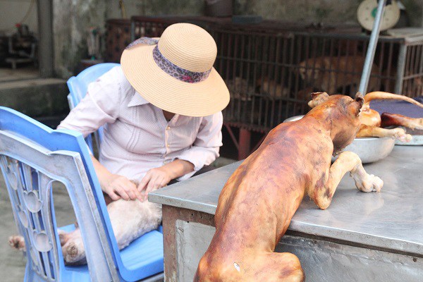 Tiểu thương bán chó mèo trước đề xuất cấm giết, ăn thịt: 'Yêu chó, nhưng vẫn mổ bán hàng ngày' - 11 Tiểu thương bán chó mèo trước đề xuất cấm giết, ăn thịt: 'Yêu chó, nhưng vẫn mổ bán hàng ngày' - 11