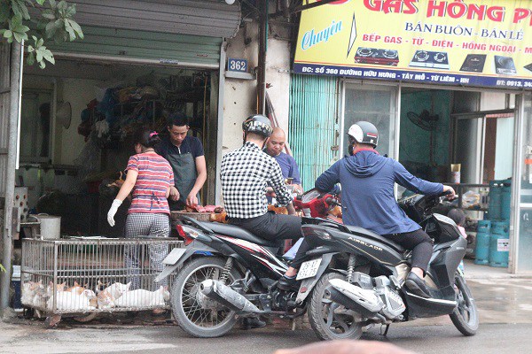 Tiểu thương bán chó mèo trước đề xuất cấm giết, ăn thịt: 'Yêu chó, nhưng vẫn mổ bán hàng ngày' - 13 Tiểu thương bán chó mèo trước đề xuất cấm giết, ăn thịt: 'Yêu chó, nhưng vẫn mổ bán hàng ngày' - 13