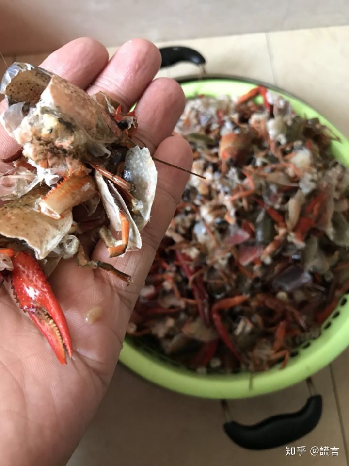 Học mót trên mạng cách làm sạch tôm bằng máy giặt, cặp vợ chồng lười mếu máo nhận cái kết 'cực đắng' - 2 Học mót trên mạng cách làm sạch tôm bằng máy giặt, cặp vợ chồng lười mếu máo nhận cái kết 'cực đắng' - 2