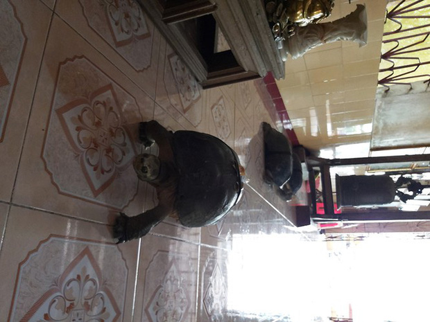 'Kỳ lạ' cụ rùa hơn trăm tuổi ở miền Tây biết... nghe kinh, ăn chay và giữ cửa - 12 'Kỳ lạ' cụ rùa hơn trăm tuổi ở miền Tây biết... nghe kinh, ăn chay và giữ cửa - 12