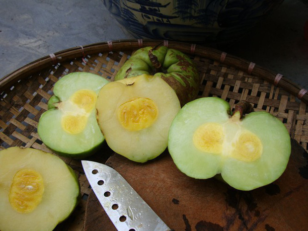 Tưởng là ổi nhưng hoá ra loại trái cây này đã khiến biết bao người nhầm lẫn, còn được xem là 'cụ tổ' của các loại quả chua - 6 Tưởng là ổi nhưng hoá ra loại trái cây này đã khiến biết bao người nhầm lẫn, còn được xem là 'cụ tổ' của các loại quả chua - 6
