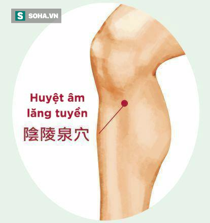 Mùa hè làm đủ 6 việc này thì cả năm không lo bị ốm bệnh, cơ thể và tinh thần đều tốt - 3 Mùa hè làm đủ 6 việc này thì cả năm không lo bị ốm bệnh, cơ thể và tinh thần đều tốt - 3