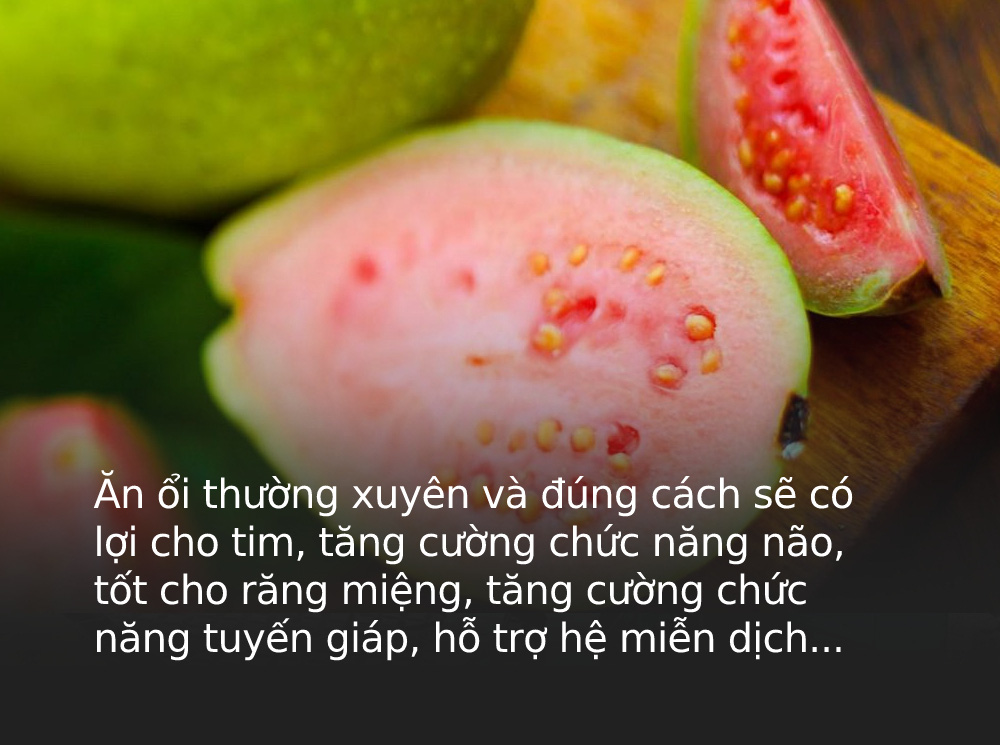 Quả ổi là 'kho dinh dưỡng' tuyệt vời nhưng khi ăn cần nắm rõ 6 nguyên tắc sau để tránh gây hại cho các cơ quan bên trong cơ thể Quả ổi là 'kho dinh dưỡng' tuyệt vời nhưng khi ăn cần nắm rõ 6 nguyên tắc sau để tránh gây hại cho các cơ quan bên trong cơ thể